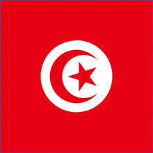 Load image into Gallery viewer, Tunisia Travel Data Roaming eSIM for Seamless Internet Connectivity 4G
